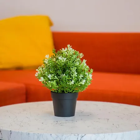 Sophie - New Cozy Place With A Garden Ofrinion