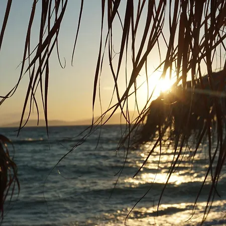 Sophie - New Cozy Place With A Garden Apartament *