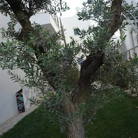 Sophie - New Cozy Place With A Garden Apartament