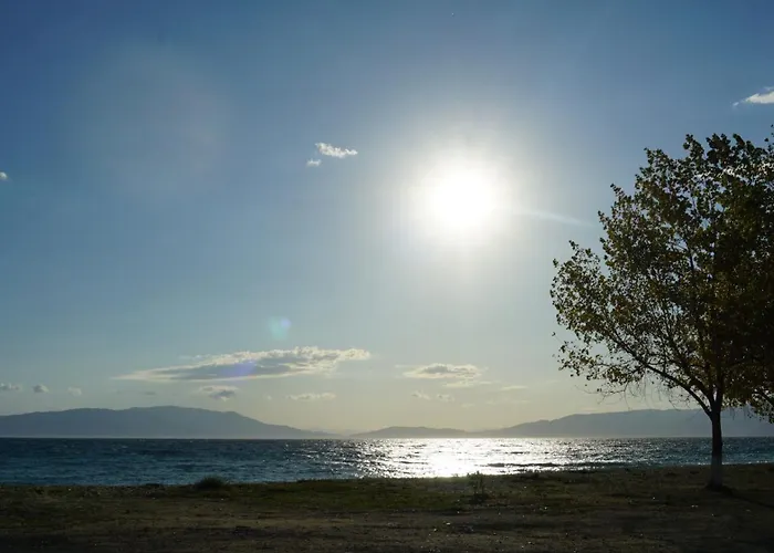 Apartment Sophie - New Cozy Place With A Garden Ofrinion