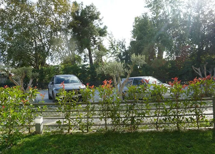 Sophie - New Cozy Place With A Garden Ofrinion